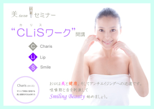 CLiSワーク チラシ20141228